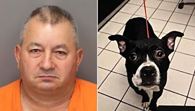 Fla. Man Accused of Adopting Dog from Shelter, Decapitating Animal the Next Day