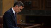 Sánchez retira una reforma de ley ante la falta de apoyos