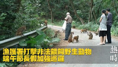 漁護署打擊非法餵飼野生動物 端午節長假加強巡邏