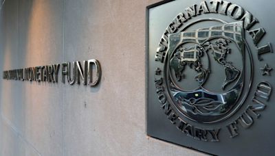 IMF says director Valdes has delegated all Argentina negotiations