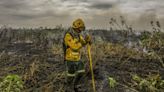 Pantanal: governo abre crédito extraordinário para combater incêndios