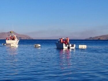 En el Lago Titicaca se tiene nivel de agua óptimo por las lluvias - El Diario - Bolivia