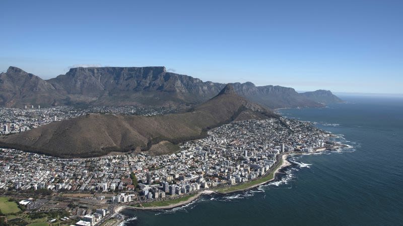 Dead seals on Cape Town beaches raise fears about widening rabies outbreak | CNN