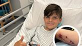 'Our true hero': Young boy attacked by XL bully was protecting siblings