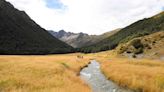 The World's Best Trout Fishing Retreat Is Hiding in This Remote Adventure Paradise