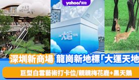 深圳新商場｜龍崗區新地標大運天地開幕！引入逾200個品牌/巨型白...