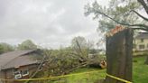 Large tree falls on senior citizen housing in Weston during severe storms