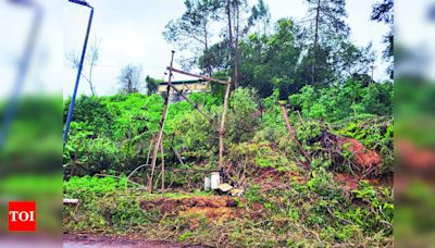 Over 650 EB poles damaged in Nilgiris in two weeks of rainfall | Coimbatore News - Times of India