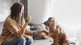 How to Use Positive Reinforcement Training With Your Dog