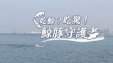 綠能風光 海中精靈消失了？｜鯨豚守護者｜華視新聞雜誌