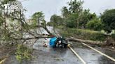 雨彈炸中台灣！彰化「郵差」送信遭路樹擊落 到院前死亡