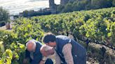 El "regalo" del Gobierno de Navarra al sector vitivinícola en San Isidro