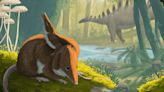 Fossil Hints That Jurassic Mammals Lived Slow and Died Old