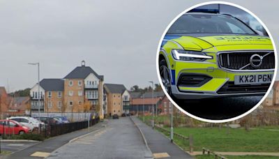 Armed police arrest boys metres away from school on suspicion of firearms offences