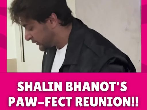 Shalin Bhanot's Heartwarming Reunion With His Pup After He Returns From His Adventures In Romania! | Entertainment...