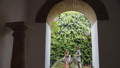 Los patios de Viana abren sus puertas: Un laberinto de color que enmudece