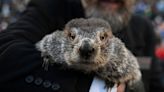 As Groundhog Day 2024 approaches, don't forget about this famous Delaware groundhog: Chunk