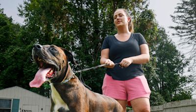 Syracuse families dump dogs in record numbers, filling shelters: ‘Full house. Nothing we can do’