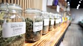 Recreational marijuana backers try to overcome rocky history in South Dakota