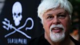 Paul Watson, ativista contra a caça de baleias, é preso na Groenlândia