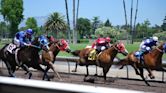 Alameda County Fairgrounds