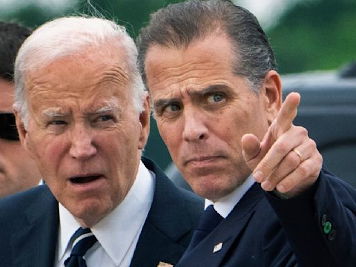 Why Is Hunter Biden's Involvement In White House Meetings Raising Eyebrows?