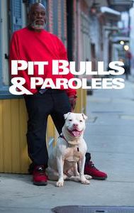 Pit Bulls and Parolees