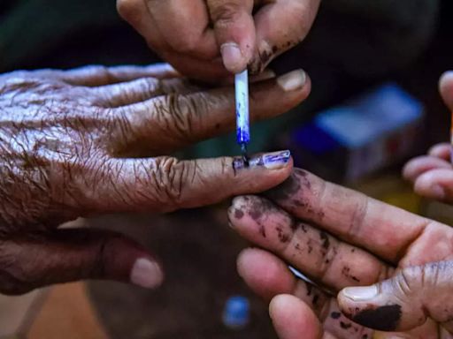 Lok Sabha election 2024 full schedule: Amritsar to vote in phase 7 on June 1 | Amritsar News - Times of India