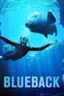 Blueback