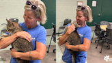 Missing cat reunites with owners in Thousand Palms