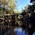 Hillsborough River State Park