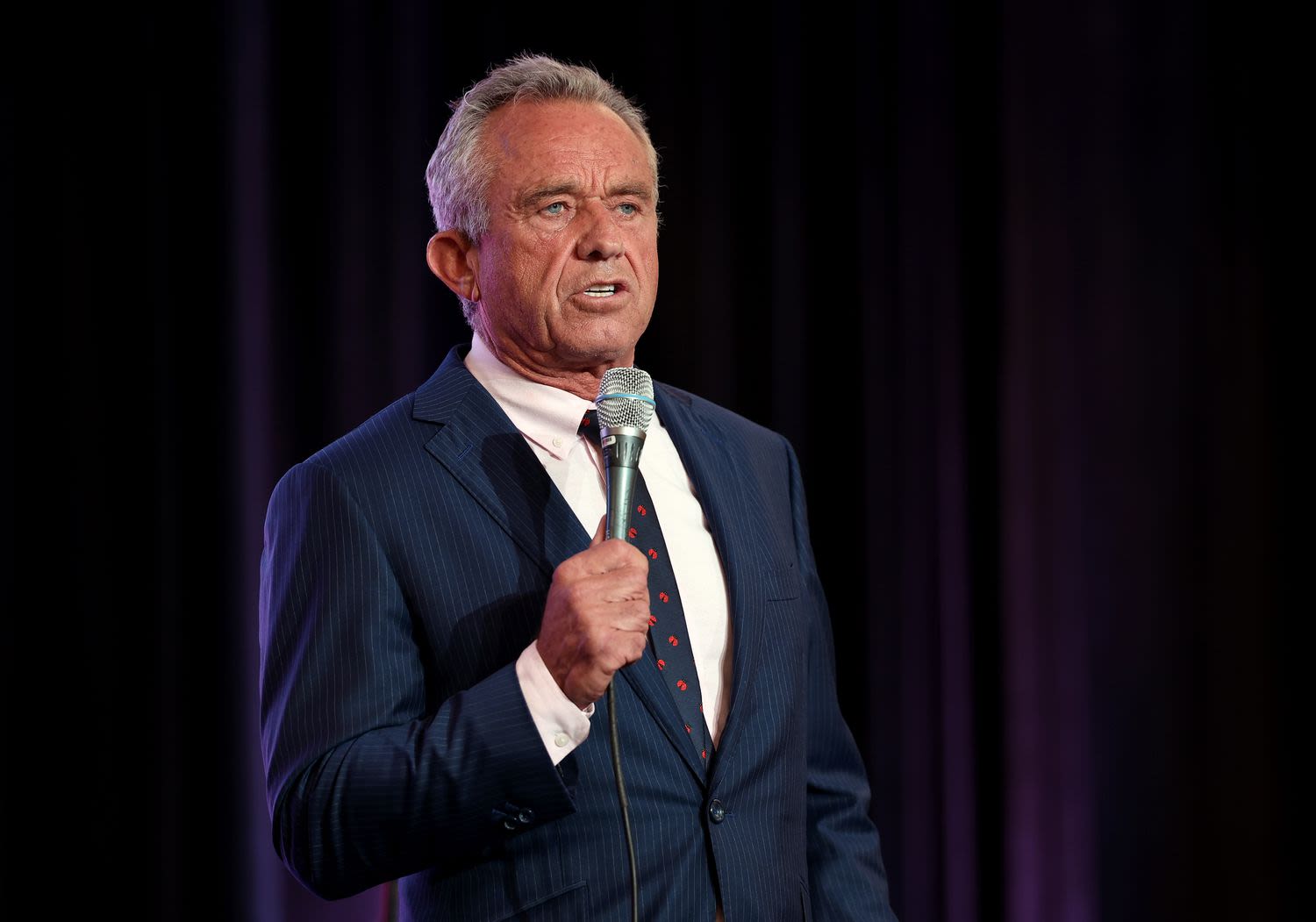 What Is Robert F. Kennedy Jr.'s Net Worth?