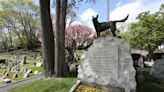 Explore Hartsdale, from Westchester Greenhouses and Farm to the Hartsdale Pet Cemetery
