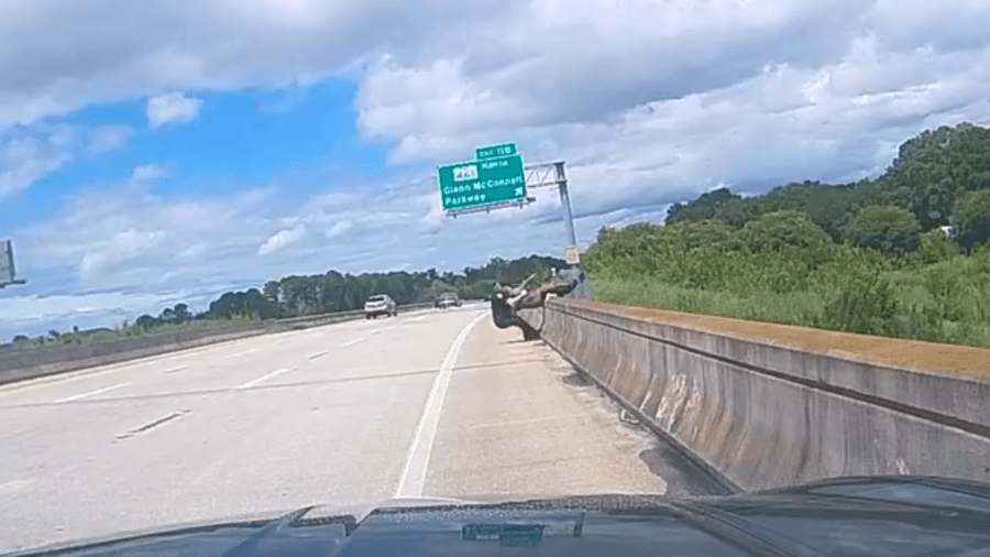 Dash camera video shows Charleston officer saving man’s life on I-526 overpass