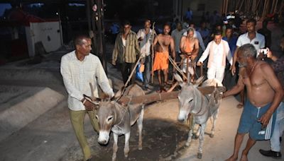 Praying For Rain: Unique Ritual In Mandsaur Involves Ploughing Crematorium With Donkeys And Sowing Salt