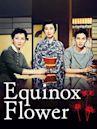 Equinox Flower