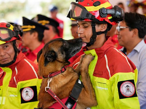 Perros bombero que ayudaron a sobrevivientes de catástrofes, homenajeados en su retirada en Ecuador