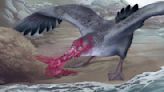 3 million years ago, this brutish giant petrel likely eviscerated dead seals with its knife-like beak