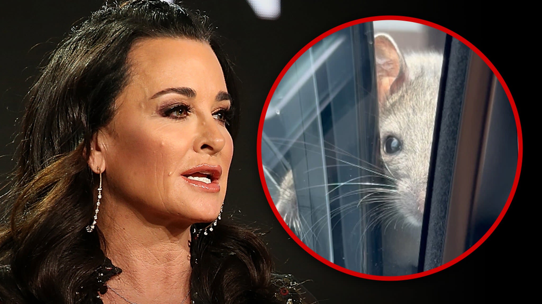 Kyle Richards Goes Full Panic Mode Over Rat On Car, Meltdown on Camera