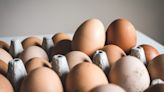 Australia detects H7 bird flu at egg farm - BusinessWorld Online