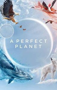 A Perfect Planet