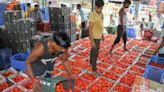 NCCF to sell subsidised tomatoes at ₹60 per kg at strategic locations in Delhi-NCR from July 29 | Today News