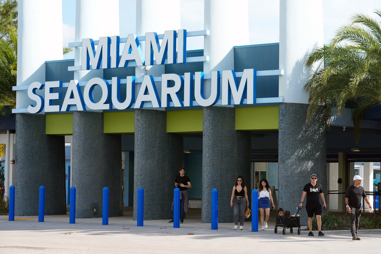 Miami Seaquarium park, accused of poor maintenance, not caring for animals, faces eviction