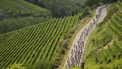 Tour de France : qu’est-ce que le gruppetto, cette technique pour finir l’étape à temps ?