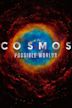 Cosmos: Possible Worlds