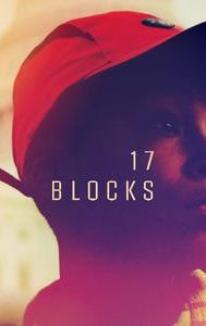 17 Blocks