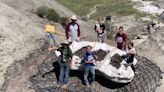 3 boys hunting for fossils made the ultimate discovery: a young T-rex skeleton that scientists have dubbed Teen Rex