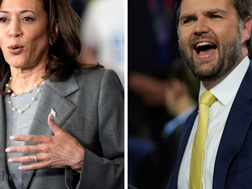 Kamala Harris vs JD Vance: US election season spices with Andhra vs Tamil Nadu flavour