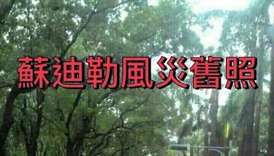 照「騙」勿傳！ 北市公園處：仁愛路滿地落葉是災情舊照