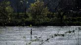 E. coli levels on parts of French Broad fail to meet recreational standards, tests show